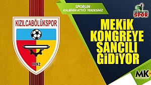 Mekik kongreye sancılı gidiyor