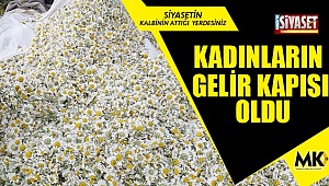 Denizli’de kilosu 25 TL den satılıyor