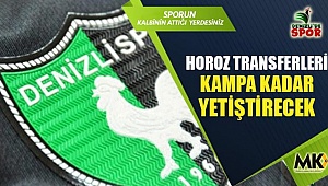 Horoz transferleri kampa kadar yetiştirecek