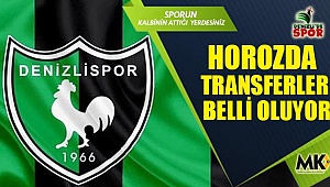 Horozda transferler belli oluyor