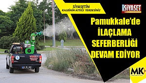 İlaçlama seferberliği devam ediyor