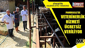 Pamukkale’de veterinerlik hizmeti ücretsiz veriliyor
