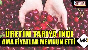 Üretim yarıya indi ama fiyatlar memnun etti