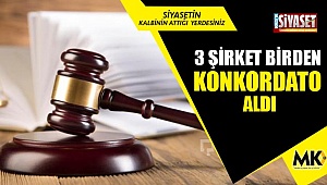 3 şirket birden konkordato aldı