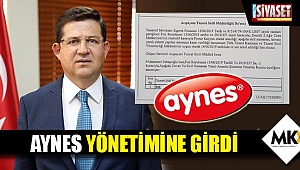 Aynes yönetimine girdi