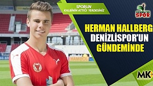 Herman Hallberg Denizlispor'un gündeminde