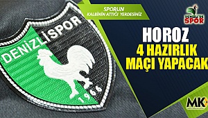 Horoz 4 hazırlık maçı yapacak