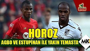 Horoz Agbo ve Estupinan ile yakın temasta