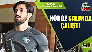Horoz salonda çalıştı