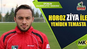 Horoz Ziya, ile yeniden temasta