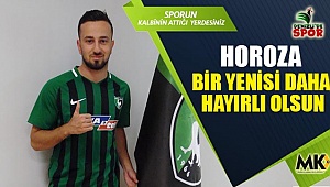 Horoza bir yenisi daha hayırlı olsun