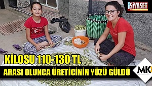 Kilosu 110-130 TL arası olunca üreticinin yüzü güldü