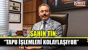 Şahin Tin: 