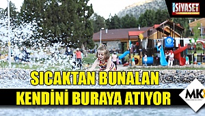 Sıcaktan bunalan kendini buraya atıyor