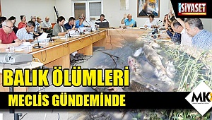 Balık ölümleri meclis gündeminde