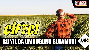 Çiftçi bu yıl da umduğunu bulamadı