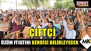 Çiftçi üzüm fiyatını kendisi belirleyecek