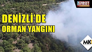 Denizli’de orman yangını