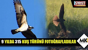 9 yılda 315 kuş türünü fotoğrafladılar