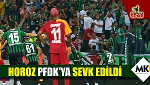 Horoz PFDK'ya sevk edildi