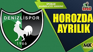 Horozda ayrılık