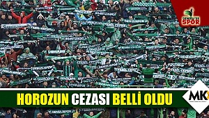 Horozun cezası belli oldu