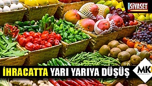 İhracatta yarı yarıya düşüş