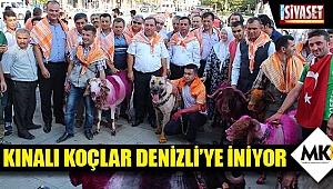 Kınalı koçlar Denizli'ye iniyor