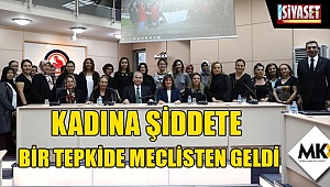 Kadına şiddete bir tepkide meclisten geldi