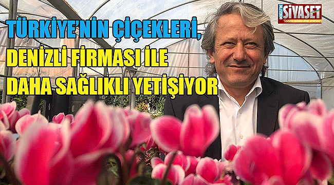 Türkiye'nin çiçekleri, Denizli firması ile daha sağlıklı yetişiyor