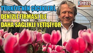 Türkiye'nin çiçekleri, Denizli firması ile daha sağlıklı yetişiyor