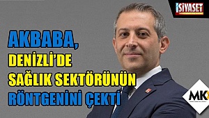 Akbaba, Denizli'de sağlık sektörünün röntgenini çekti