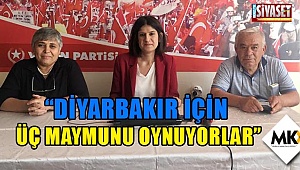 Ayvalı: Diyarbakır için üç maymunu oynuyorlar