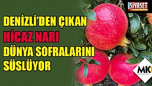 Denizli'den çıkan Hicaz Narı dünya sofralarını süslüyor