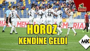 Horoz kendine geldi