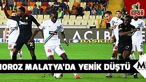 Horoz Malatya’da yenik düştü