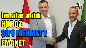 Horoz şifo Mehmet'e emanet