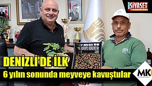 6 yılın sonunda meyveye kavuştular