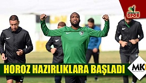 Horoz hazırlıklara başladı