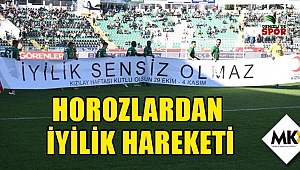 Horozlardan iyilik hareketi