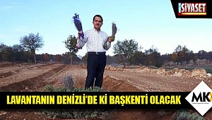 Lavantanın Denizli’de ki başkenti olacak