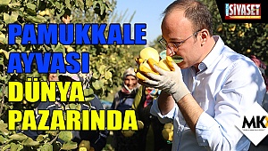 Pamukkale ayvası dünya pazarında