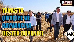 Tavas’ta çiftçiye ve hayvancıya destek büyüyor