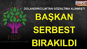 HDP’li başkan serbest bırakıldı