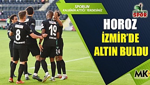 Horozdan garanti iş