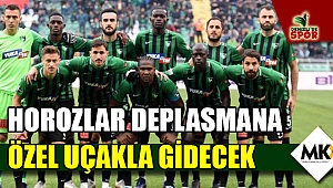 Horozlar deplasmana özel uçakla gidecek