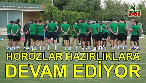Horozlar hazırlıklara devam ediyor
