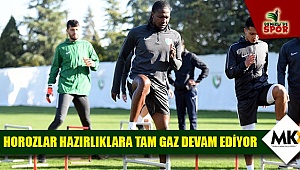 Horozlar hazırlıklara tam gaz devam ediyor