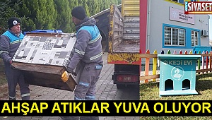 Ahşap atıklar yuva oluyor