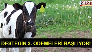 Desteğin 2. ödemeleri başlıyor!